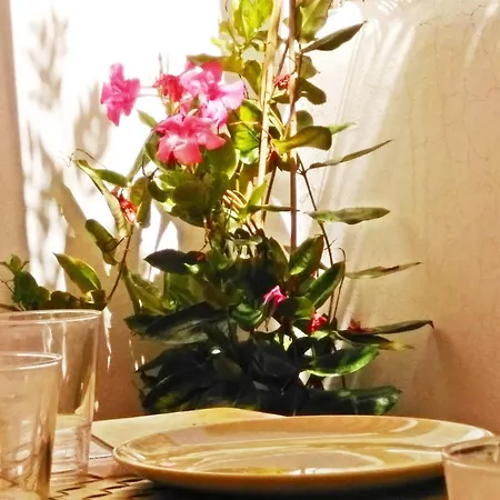 Casa Dos Angeles - In The Sunny South Of Tenerife * Chayofa