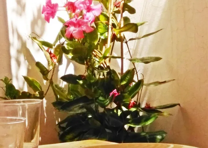 Casa Dos Angeles - In The Sunny South Of Tenerife * Chayofa